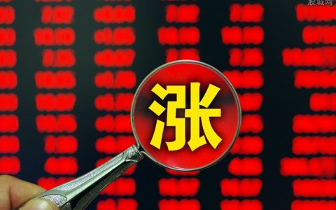 国际期货交易品种